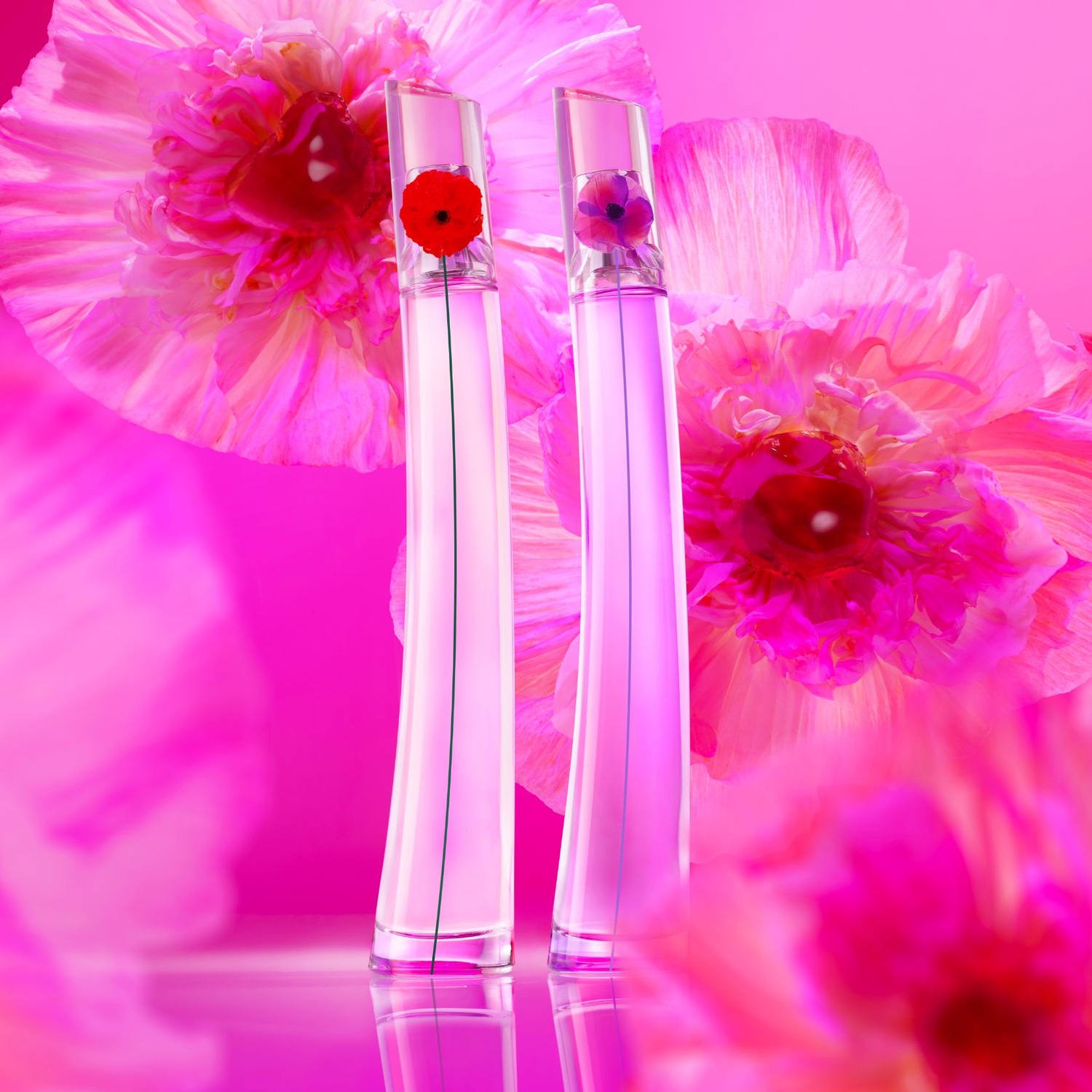 Zwei Parfümflaschen stehen vor einem Hintergrund aus rosa Blumen, wobei die eine Flasche eine rote und die andere eine violette Blume im Inneren trägt.
