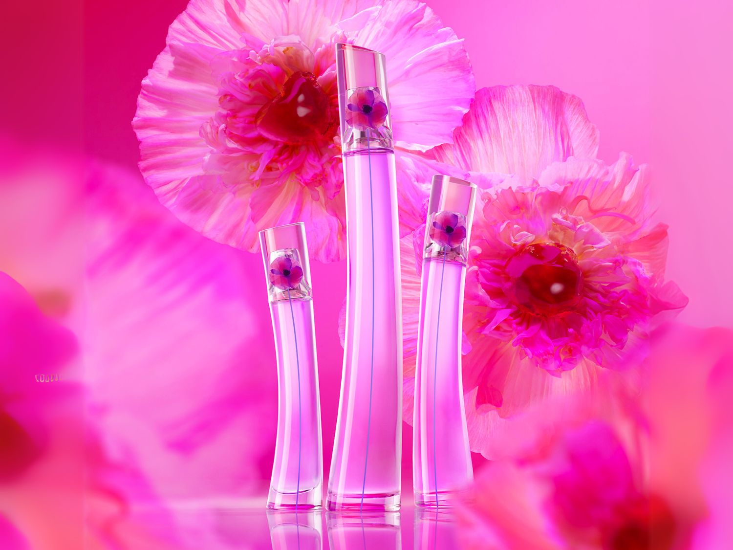 Drei Parfümflaschen in verschiedenen Größen stehen vor einem Hintergrund aus rosa Blumen, wobei jede Flasche eine kleine lila Blume im Inneren enthält.