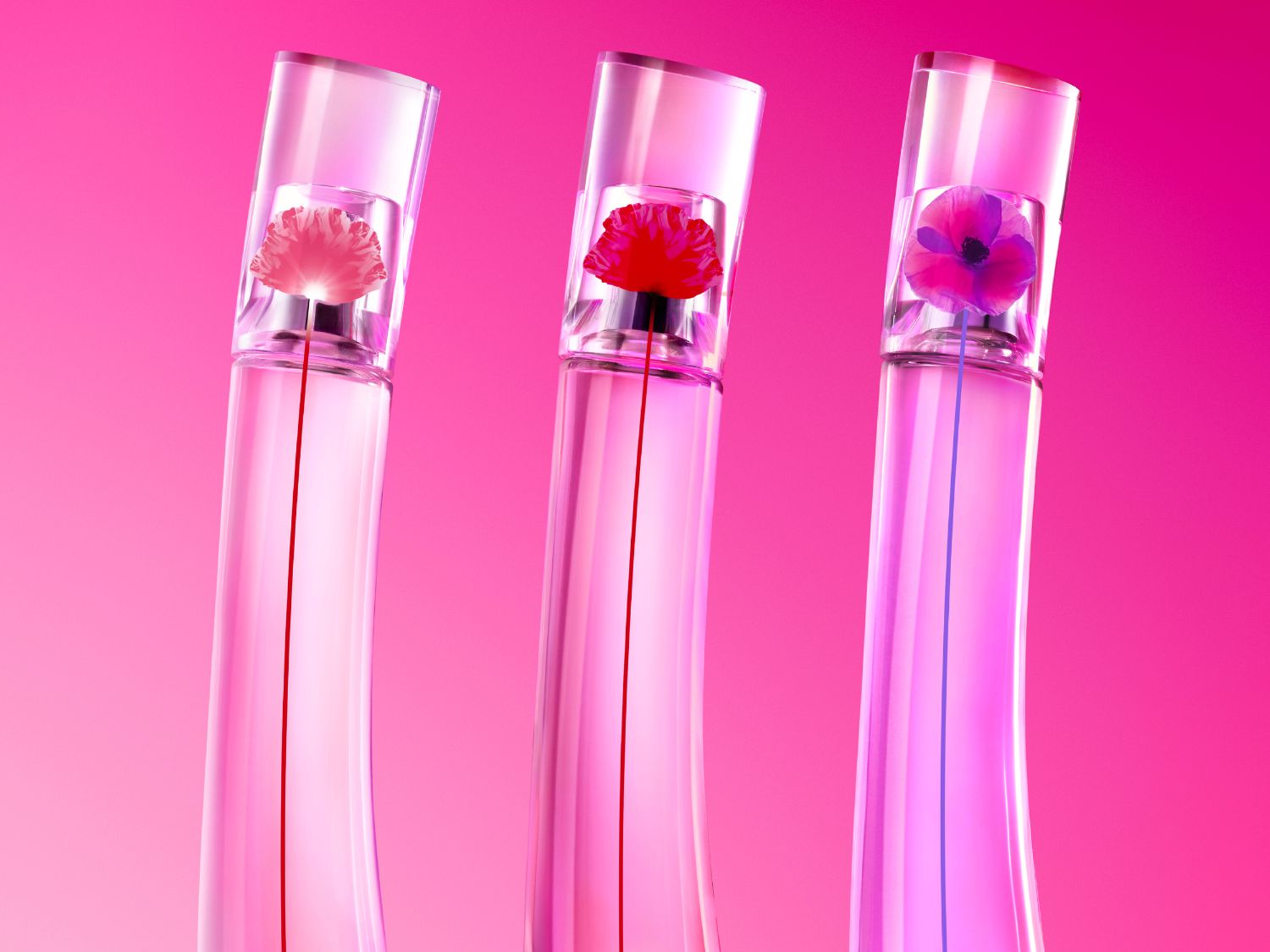 Nahaufnahme von drei Parfümflaschen mit klaren, geneigten Kappen, die jeweils eine stilisierte Blume in Rosa-, Rot- und Lilatönen enthalten, vor einem leuchtend rosa Hintergrund.