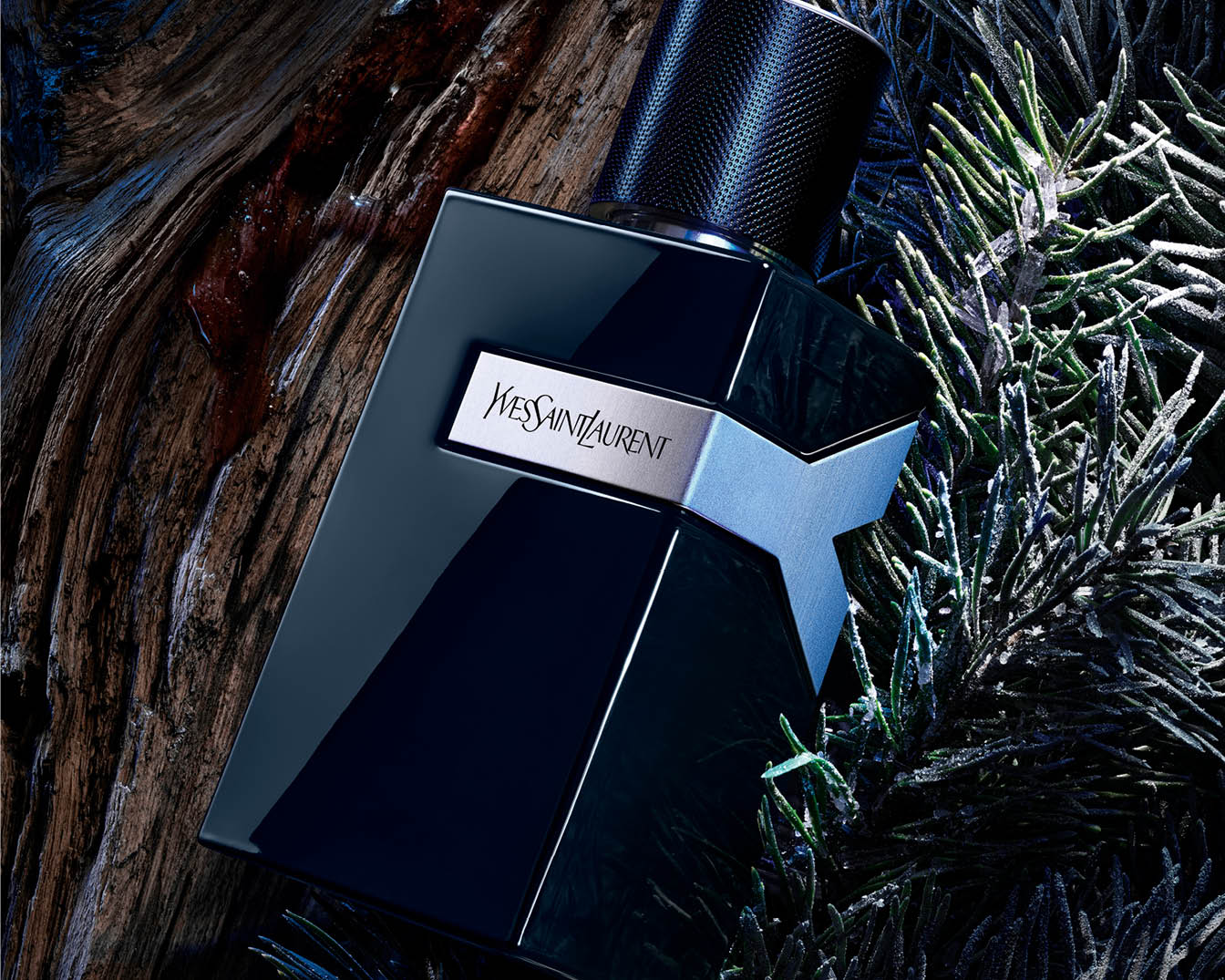 Een flacon YSL-parfum ligt op een houten ondergrond, versierd met dennentakken, wat een luxe en natuurlijke uitstraling geeft.