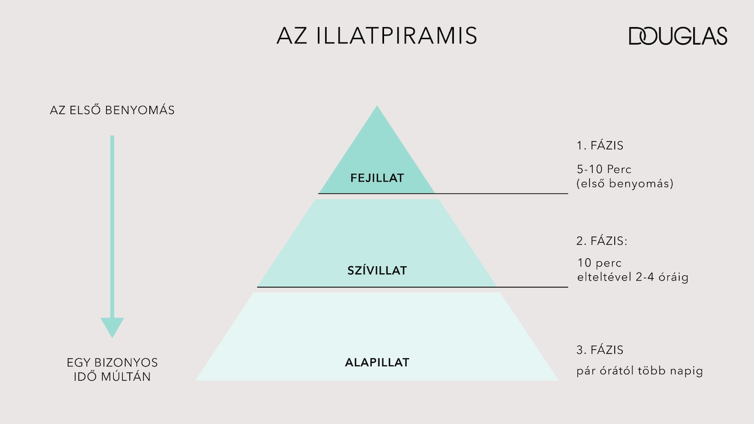 A Douglas illatpiramis három fázisát mutatja be: fejillat (5-10 perc), szívillat (2-4 óra), és alapillat (több napig).
