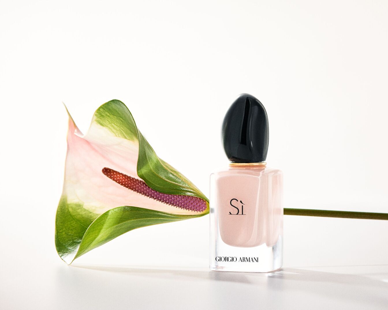 Šalia žalsvai rausvo anturio žiedo stovi skaidraus stiklo „Giorgio Armani Sì“ kvepalų buteliukas su juodu kamšteliu, skleidžiantis eleganciją ir rafinuotumą.