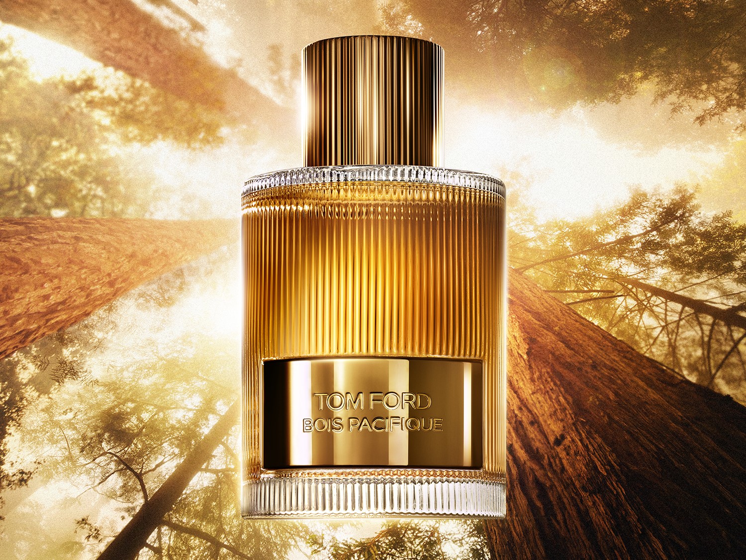 Złota butelka perfum Tom Ford Bois Pacifique z prążkowaną fakturą i złotą etykietą na tle drzew, emanująca luksusem i ciepłem.