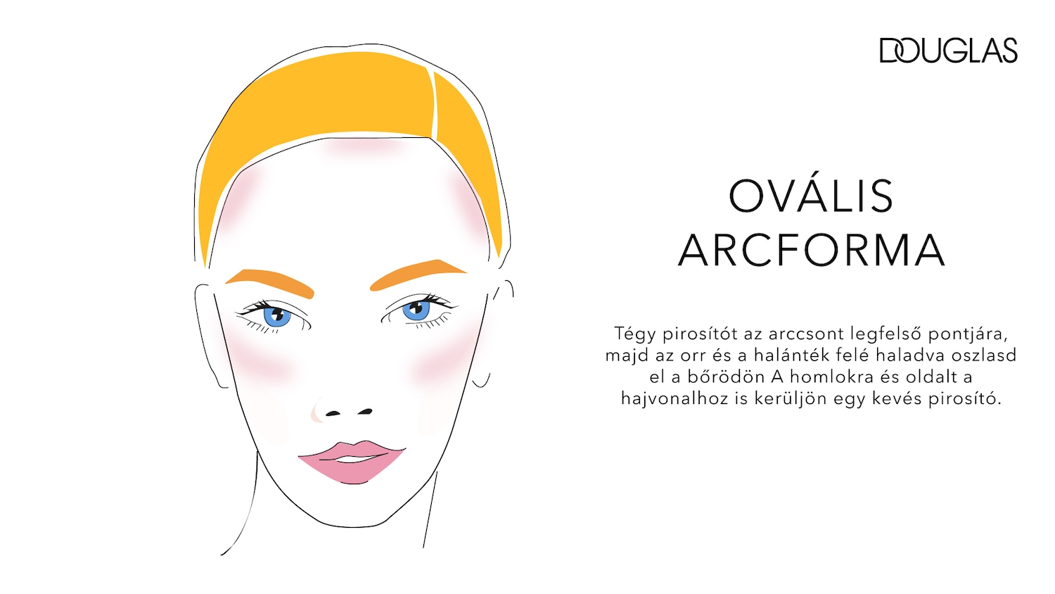 Illusztráció egy női arcról, amelyen bemutatják, hogyan kell felvinni a pirosítót az ovális arcformához, a Douglas márkajelzéssel.