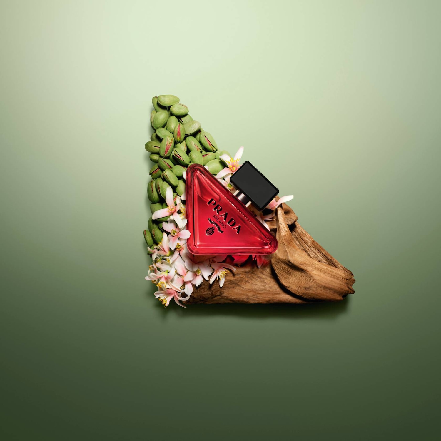 Plochá kompozícia s červeným trojuholníkovým flakónom Prada, čiernym vrchnákom, pistáciami, drevom a kvetmi na zelenom pozadí.