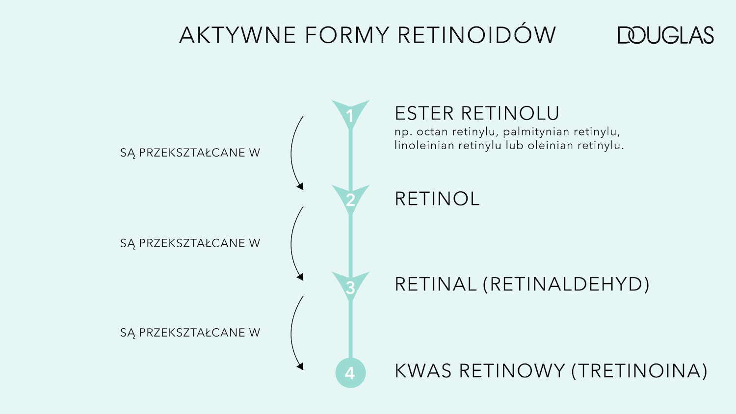 Grafika przedstawia aktywne formy retinoidów od estru retinolu, przez retinol i retinal (retinaldehyd), aż po kwas retinowy (tretoinoina), zgodnie z marką Douglas.