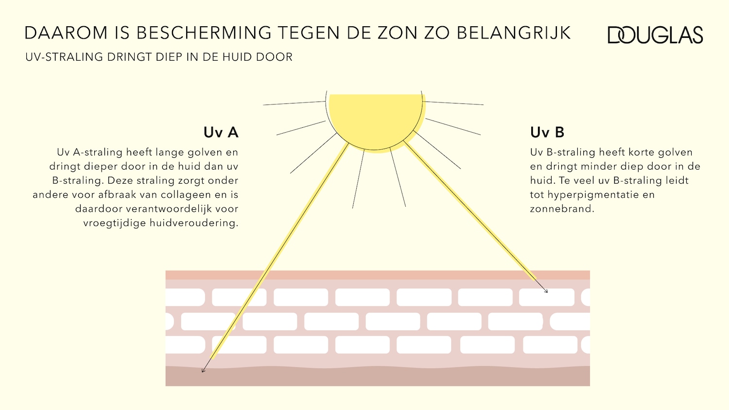 Waarom bescherming tegen de zon belangrijk is: UV-straling dringt diep in de huid door, met uitleg over UV A- en UV B-straling en hun effecten op de huid.