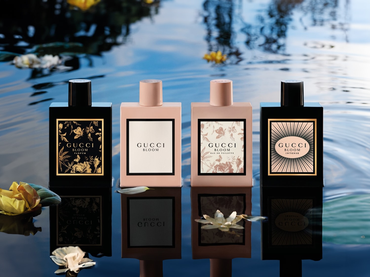 Découvrez la collection Gucci Bloom, avec des parfums et des eaux de toilette aux flacons distinctifs, flottant sur l'eau.