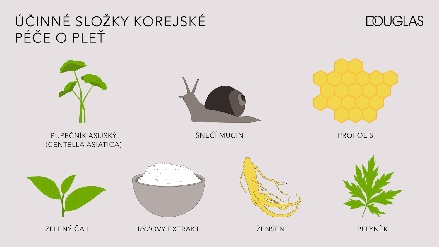 Discover the power of Korean skincare with key ingredients like Centella Asiatica, snail mucin, propolis, green tea, rice extract, ginseng, and mugwort for a radiant complexion.