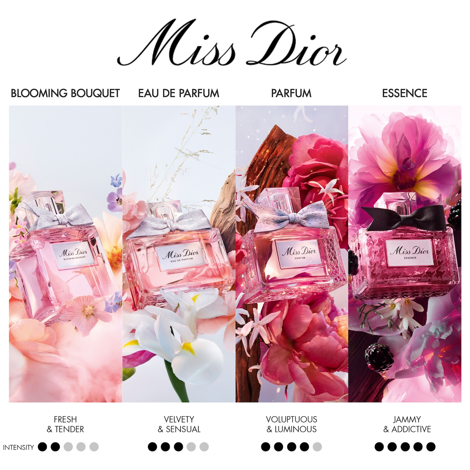 DIOR Miss Dior Blooming Bouquet Eau de Toilette ✔️ online kaufen