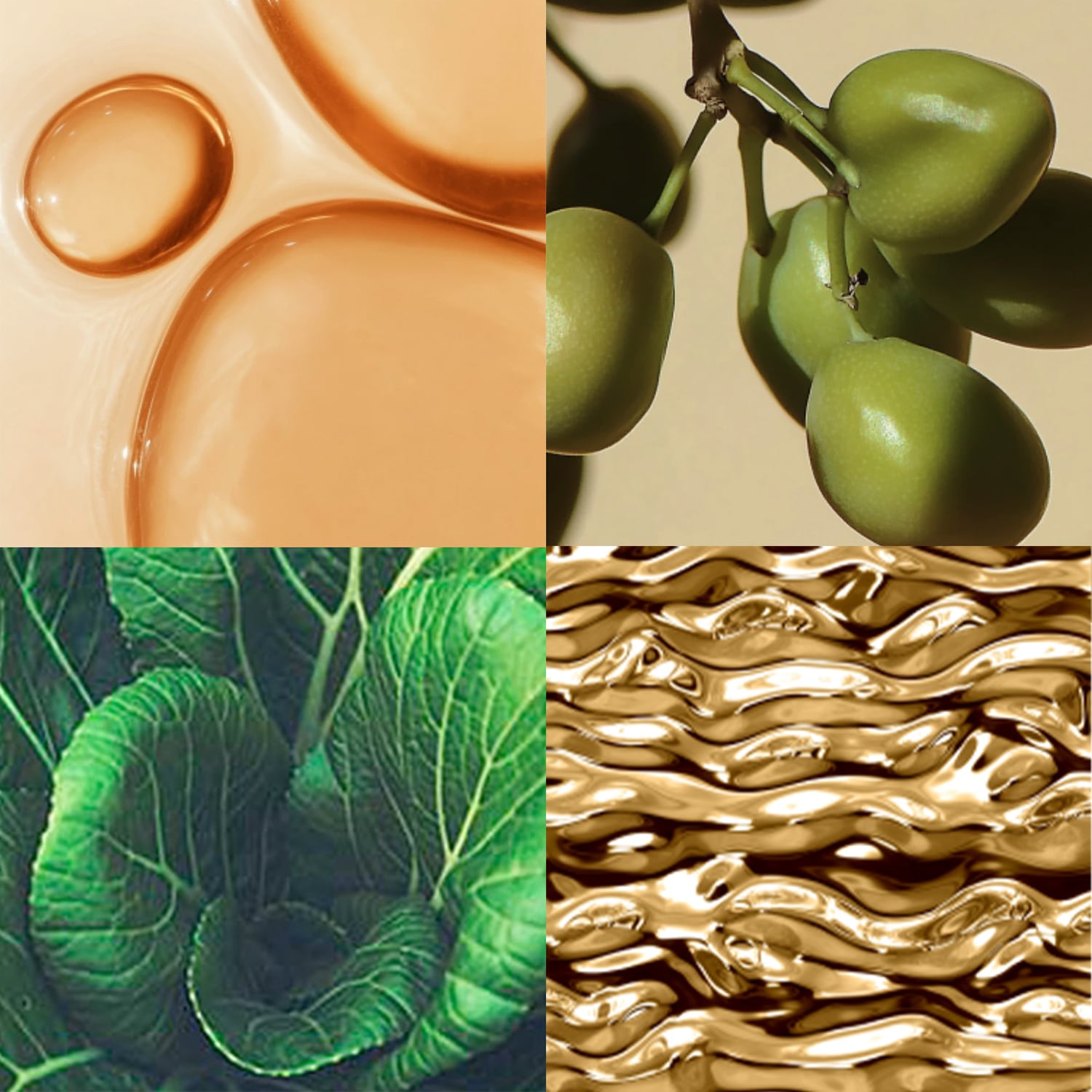 Eine Collage von Nahaufnahmen der 4 Inhaltsstoffe.