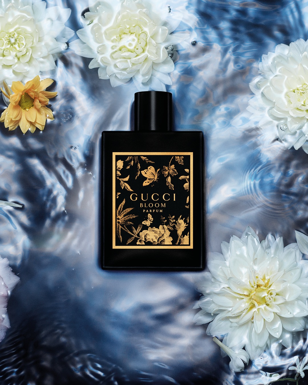 Czarny flakon perfum Gucci Bloom z motywem kwiatowym na etykiecie, otoczony białymi kwiatami na tle wody.