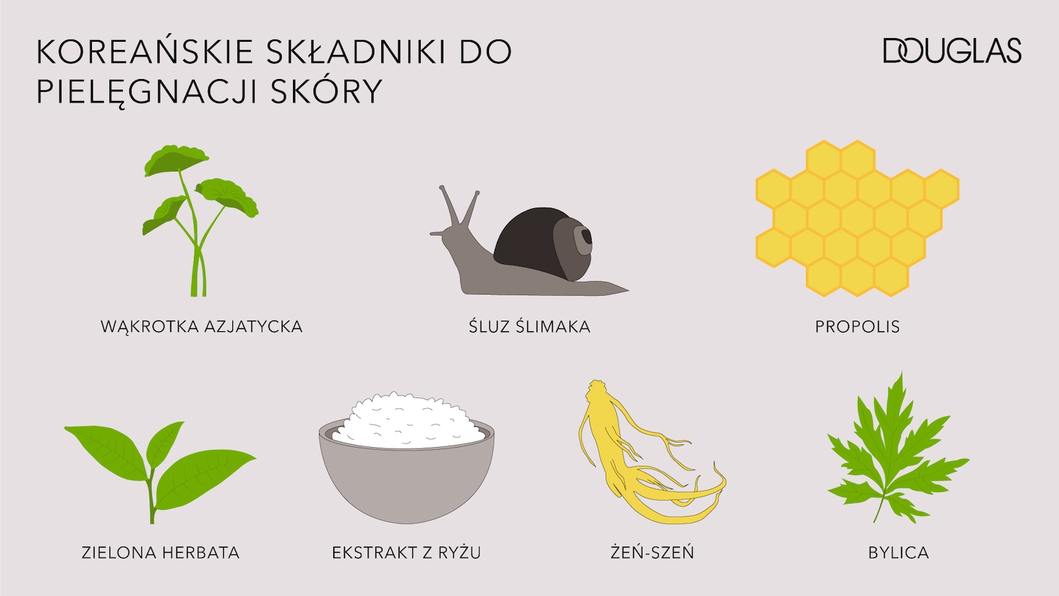 Odkryj koreańskie sekrety pielęgnacji skóry z składnikami takimi jak wąkrotka azjatycka, śluz ślimaka, propolis, zielona herbata, ekstrakt z ryżu, żeń-szeń i bylica, aby uzyskać promienną cerę.