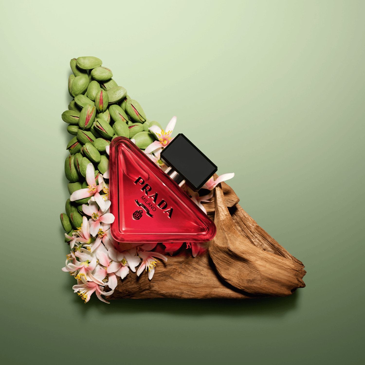 Découvrez Prada Milano, un parfum rouge vif dans un flacon triangulaire, orné de fleurs délicates et de pistaches vertes.