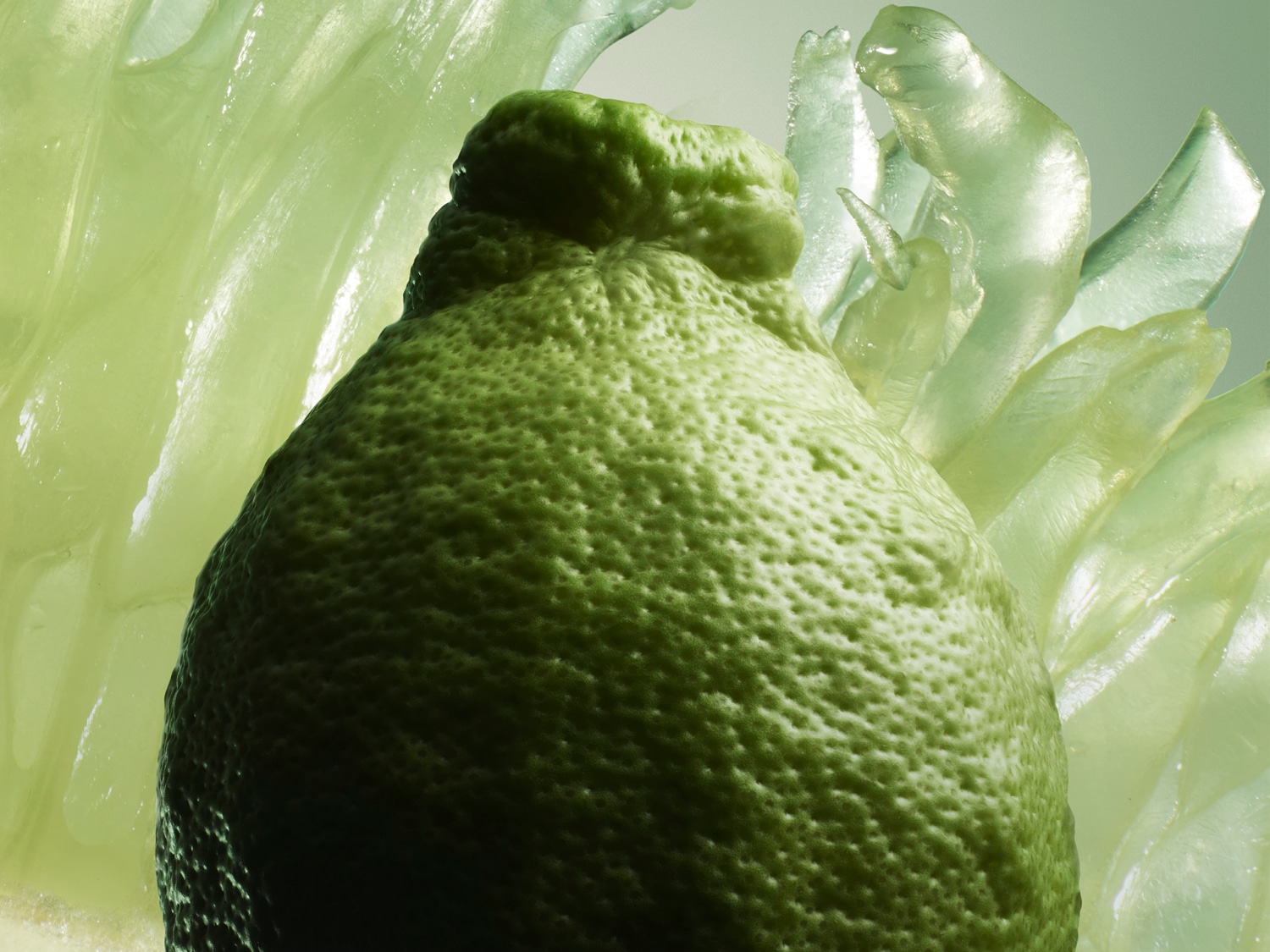 Gros plan sur un cédrat vert frais, sa peau texturée et ses quartiers translucides évoquant un parfum d'agrumes vivifiant.