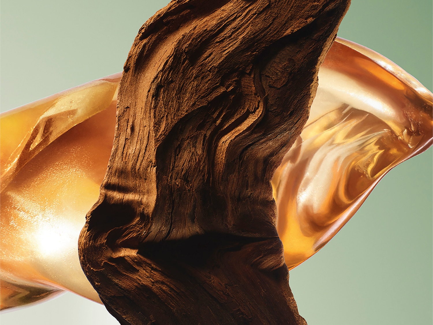 Gros plan sur un morceau de bois texturé brun foncé, drapé d'un tissu doré brillant, évoquant un parfum riche et naturel.
