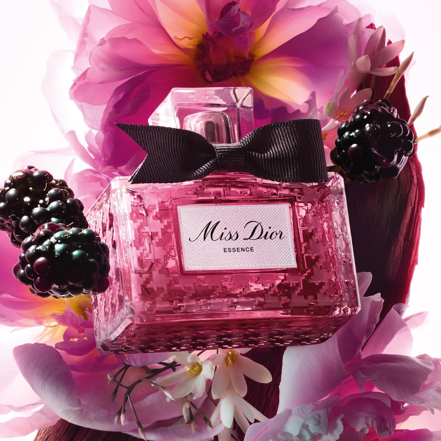 Découvrez Miss Dior Essence, un parfum floral et fruité présenté dans un flacon rose orné d'un nœud noir, entouré de mûres et de fleurs roses.