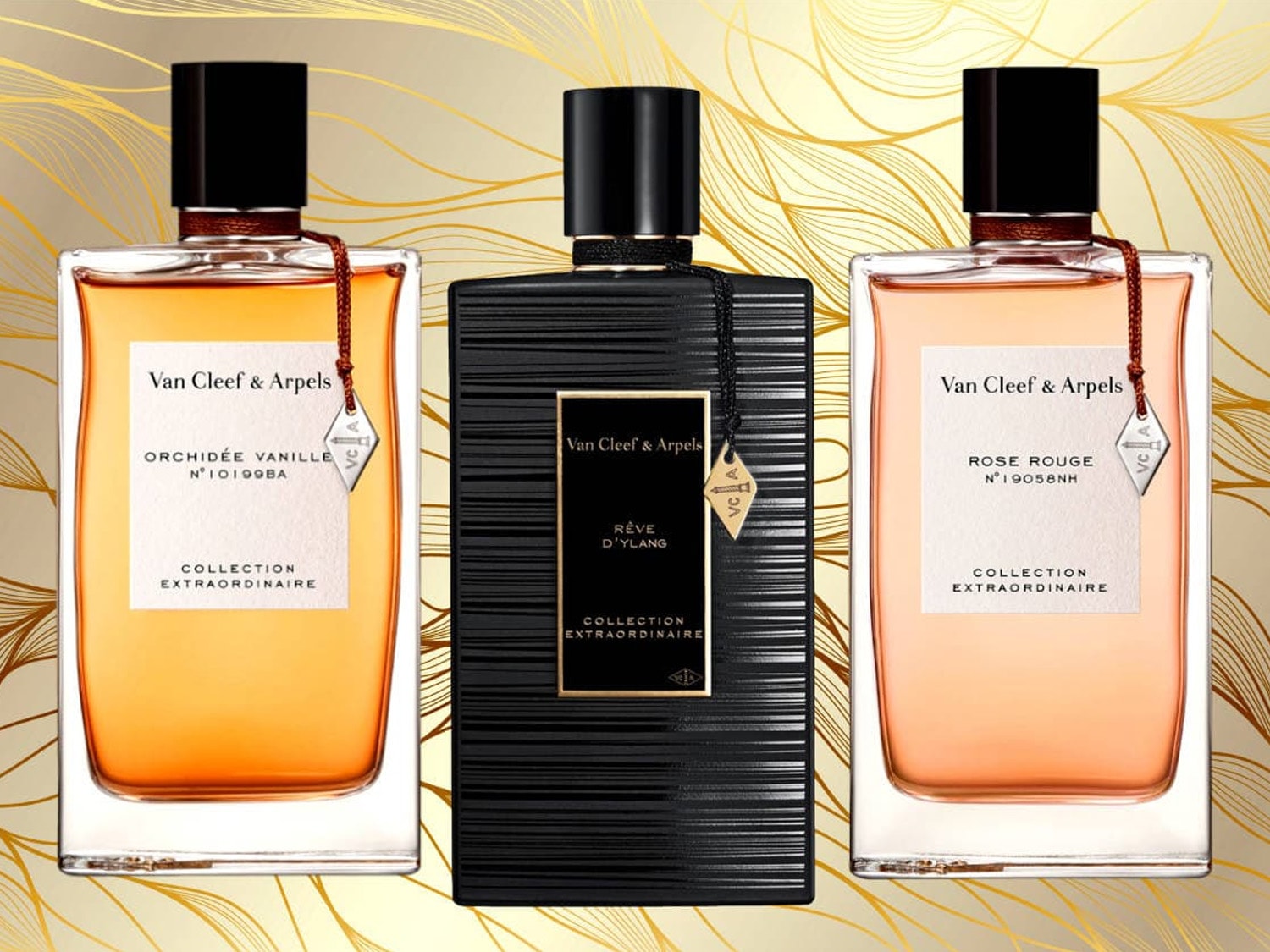 Elegancka kolekcja Van Cleef & Arpels Collection Extraordinaire prezentuje trzy flakony perfum: Orchidee Vanille o ciepłym, bursztynowym odcieniu, Rose Rouge w delikatnym różu i tajemniczy Reve D'Ylang w czarnym flakonie.