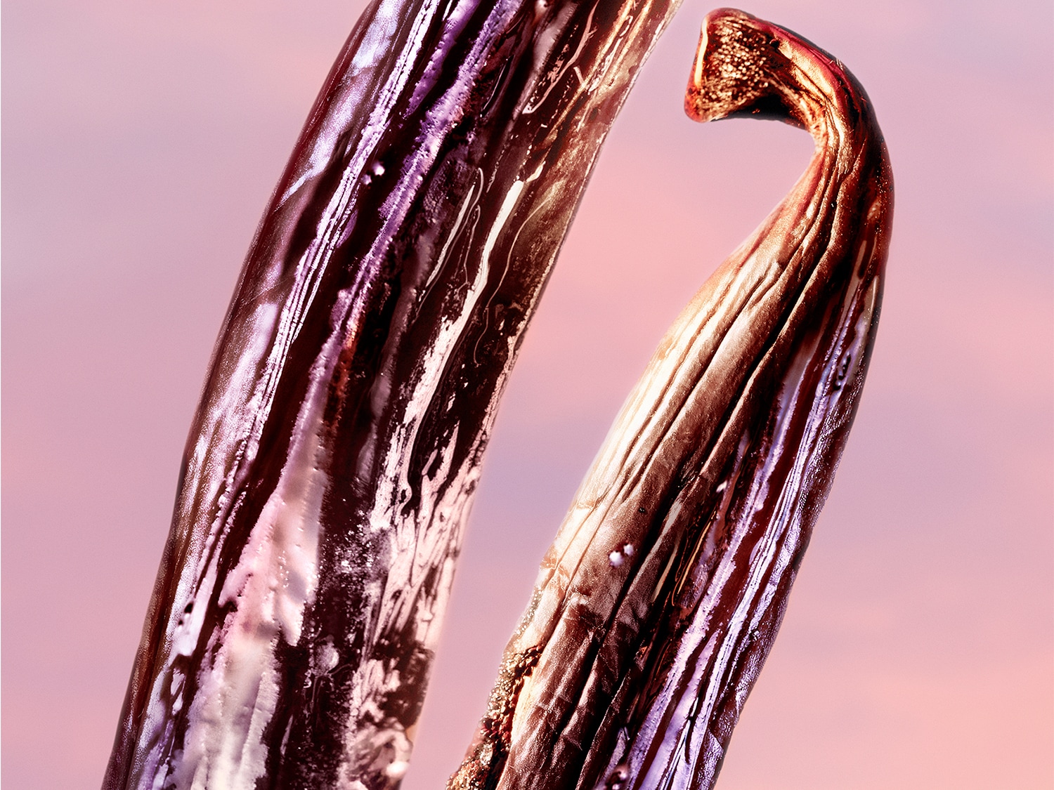 Twee glanzende vanillestokjes met een rijke, donkere kleur tegen een zachte, roze achtergrond.