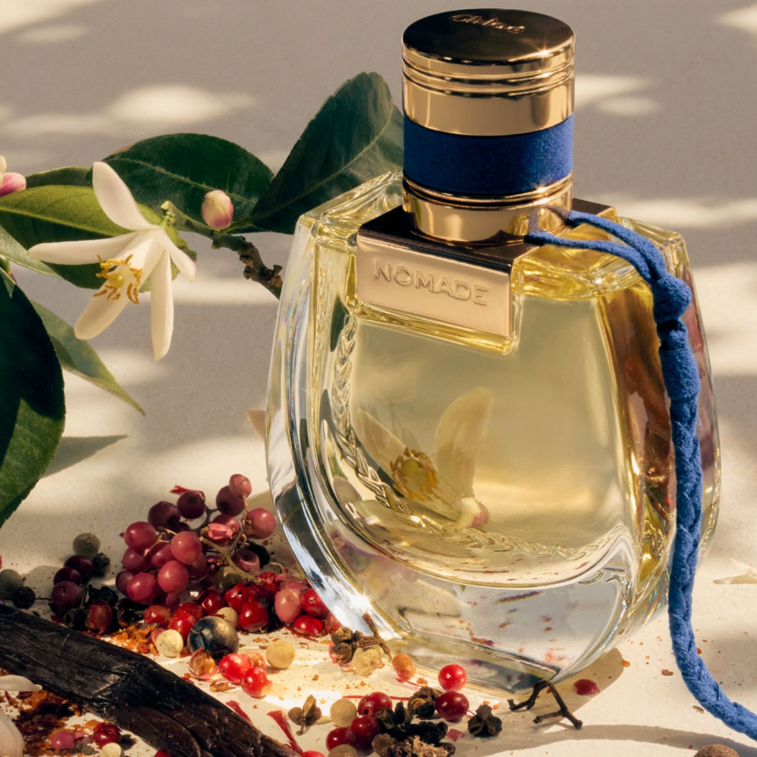 Przezroczysty flakon perfum Chloé Nomade z niebieskim sznurkiem i złotą nakrętką stoi wśród kwiatów, liści i przypraw, tworząc bogatą kompozycję zapachową.