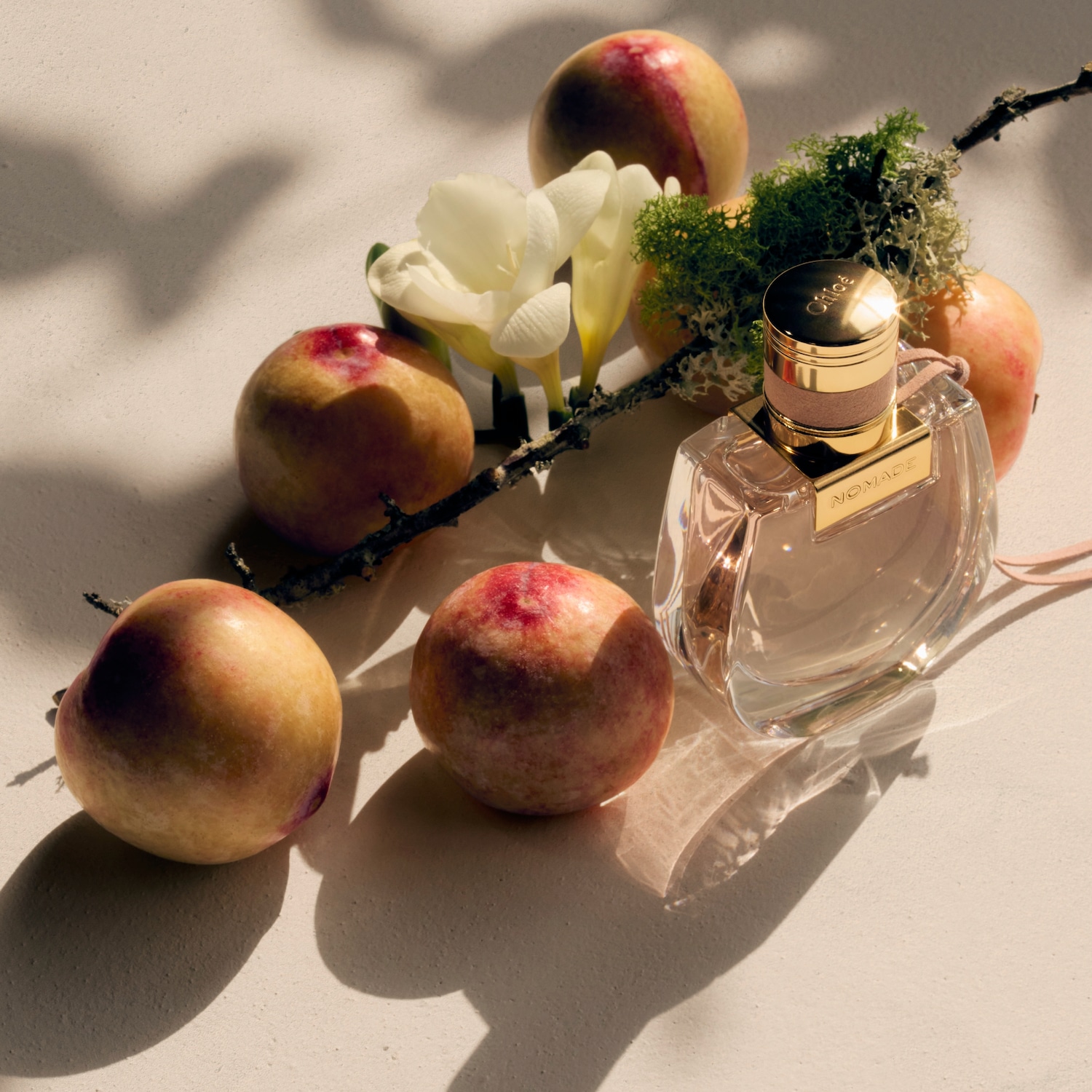 Flakon perfum Chloé Nomade otoczony brzoskwiniami, białymi kwiatami i gałązką mchu na jasnym tle, tworzący elegancką kompozycję.