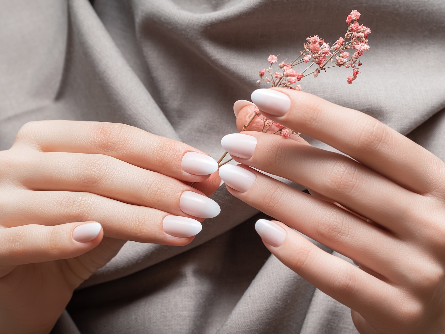 Nahaufnahme von Händen mit weißer Ombre-Maniküre, die einen zarten rosa Blütenzweig halten, vor einem grauen Stoffhintergrund.