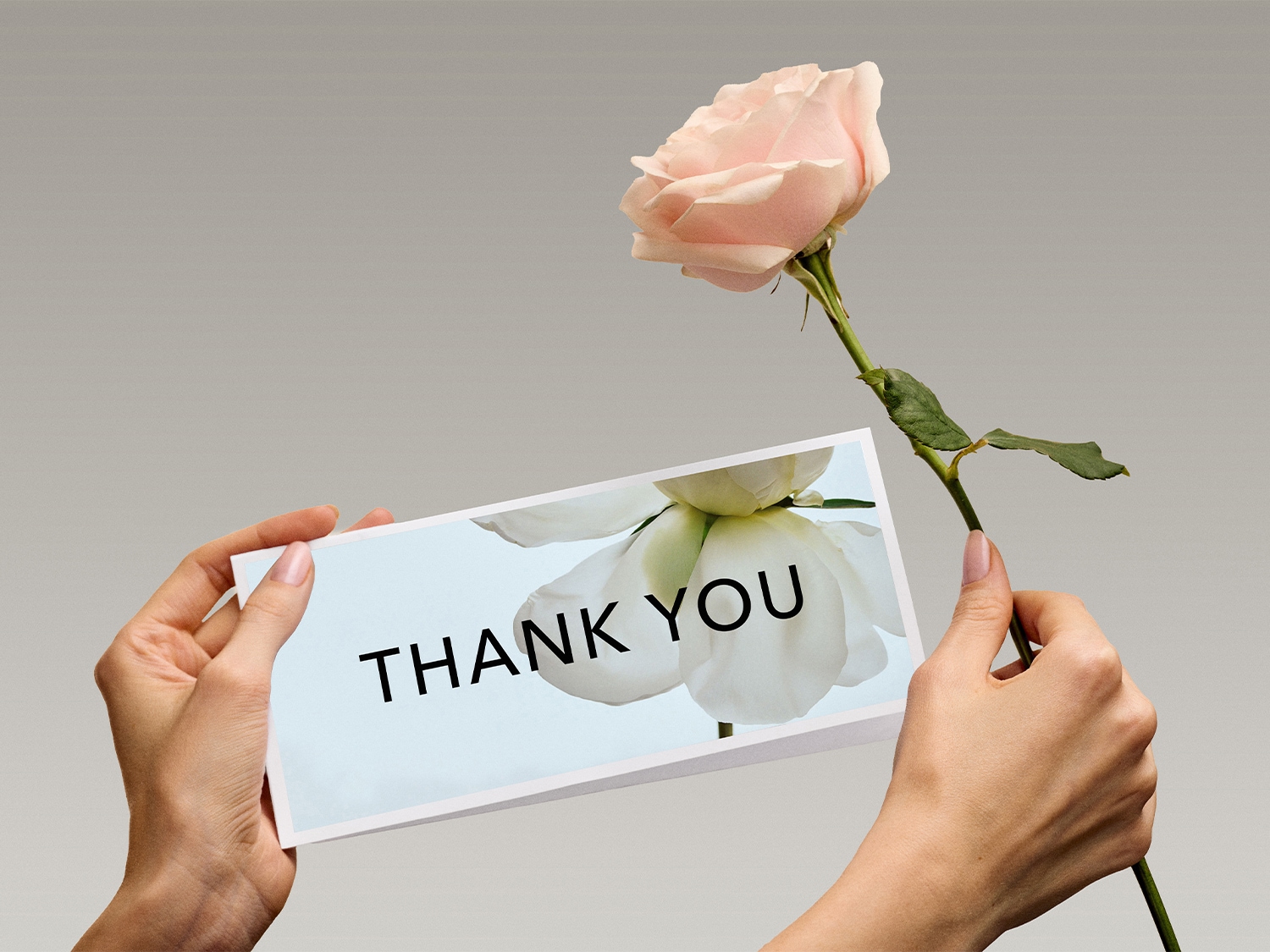 Eine Person hält eine Karte mit der Aufschrift "Thank You" und eine zarte, hellrosa Rose.