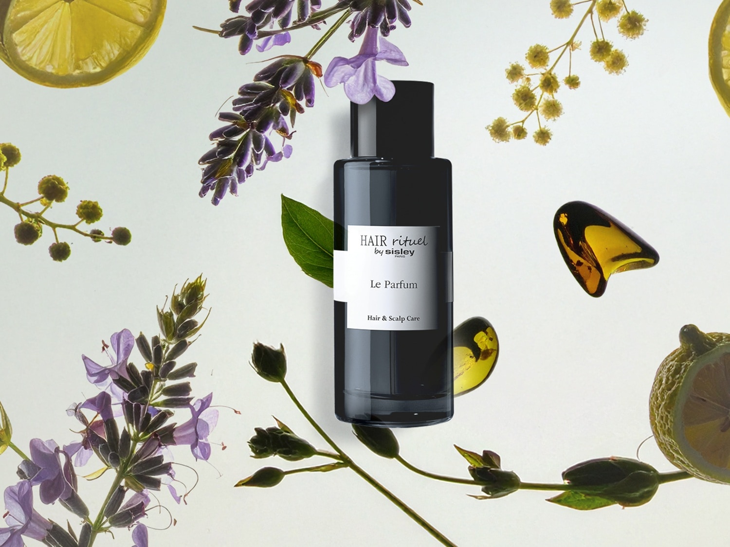Czarna butelka perfum Hair Rituel by Sisley Le Parfum otoczona jest kwiatami lawendy, plasterkami cytryny i bursztynowymi kamieniami, tworząc elegancką kompozycję.