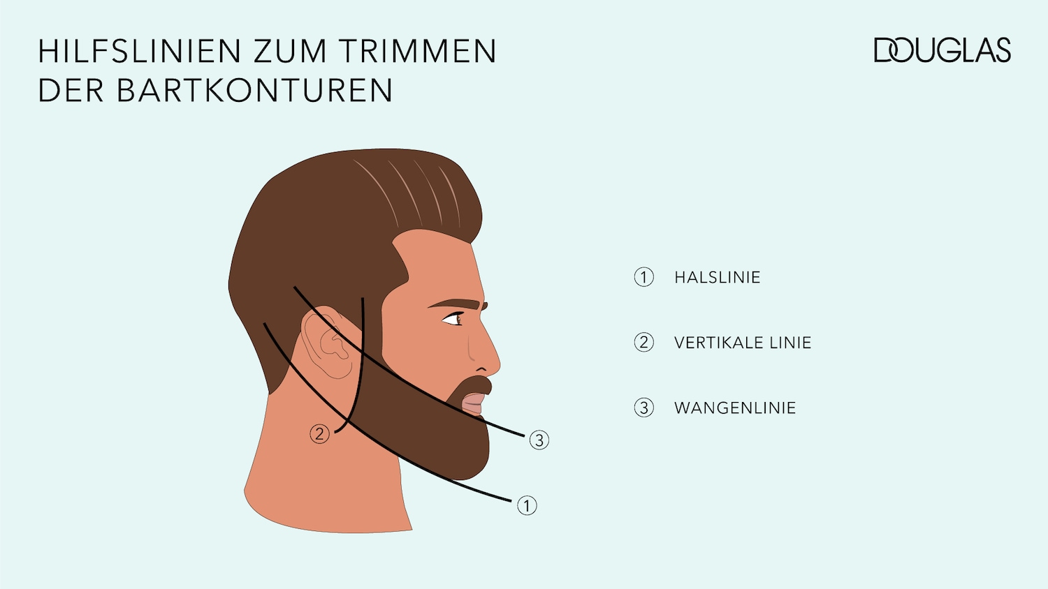 Illustration der Hilfslinien zum Trimmen der Bartkonturen, einschliesslich Halslinie, vertikale Linie und Wangenlinie, präsentiert von Douglas.
