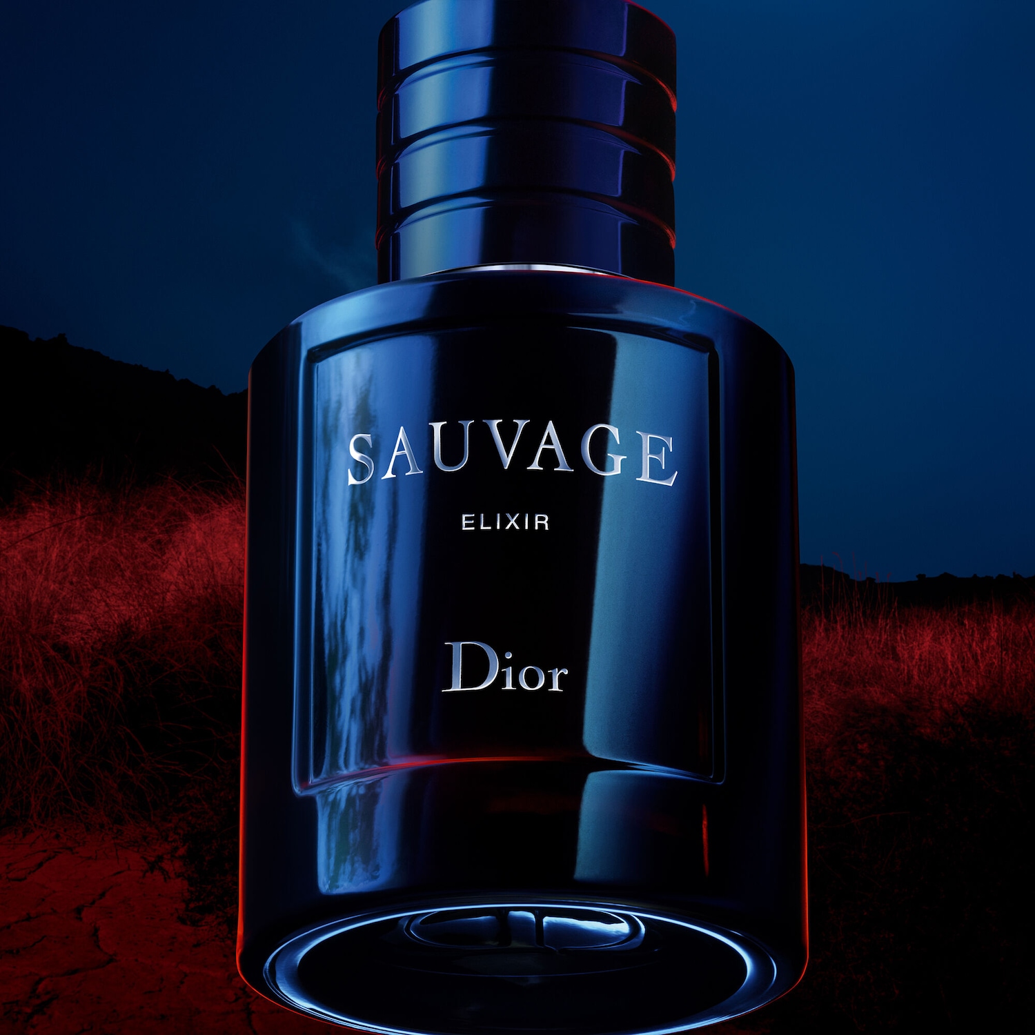 Dior Sauvage Elixir 香水(男性用) Sauvage Elixir: Rare and Intoxicating Men's Fragrance Elixir | DIOR CA
