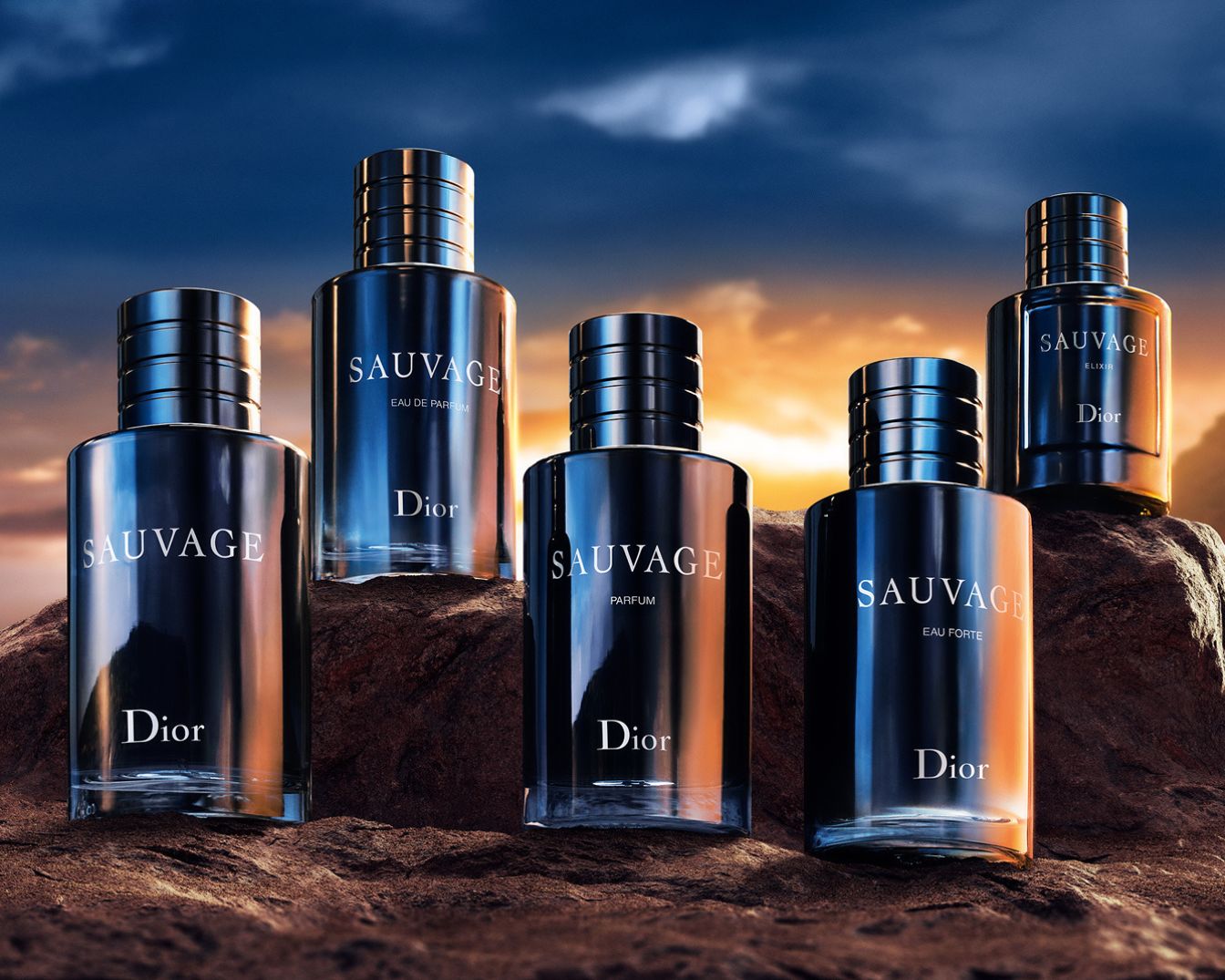Découvrez la collection Sauvage de Dior, comprenant Eau de Parfum, Parfum, Eau Forte et Elixir, présentés dans d'élégants flacons bleus.