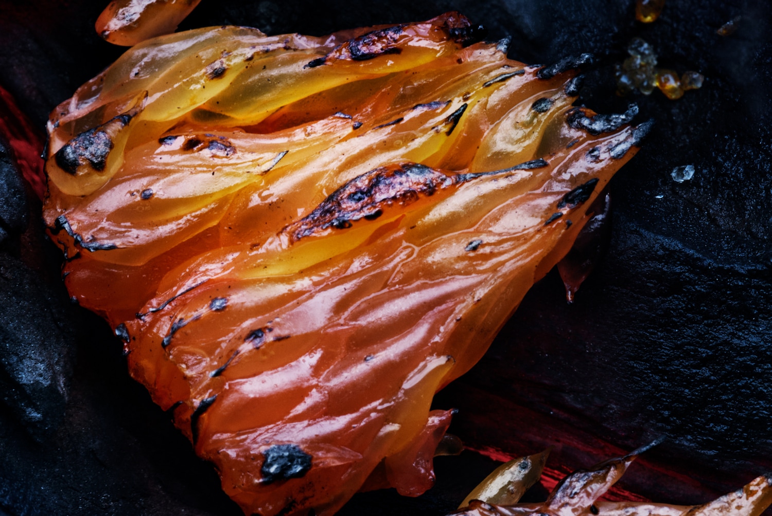 Gros plan sur une tranche translucide de mangue caramélisée, aux teintes orangées et jaunes, délicatement brûlée sur les bords, posée sur une surface sombre.
