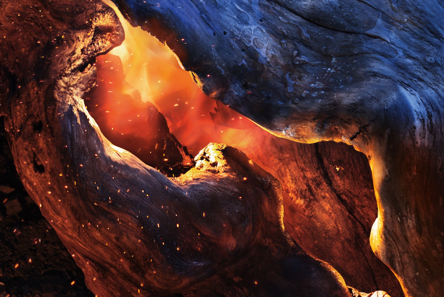 Un arbre creux illuminé de l'intérieur par une lumière chaude et rougeoyante, créant un contraste saisissant avec l'écorce sombre et texturée.