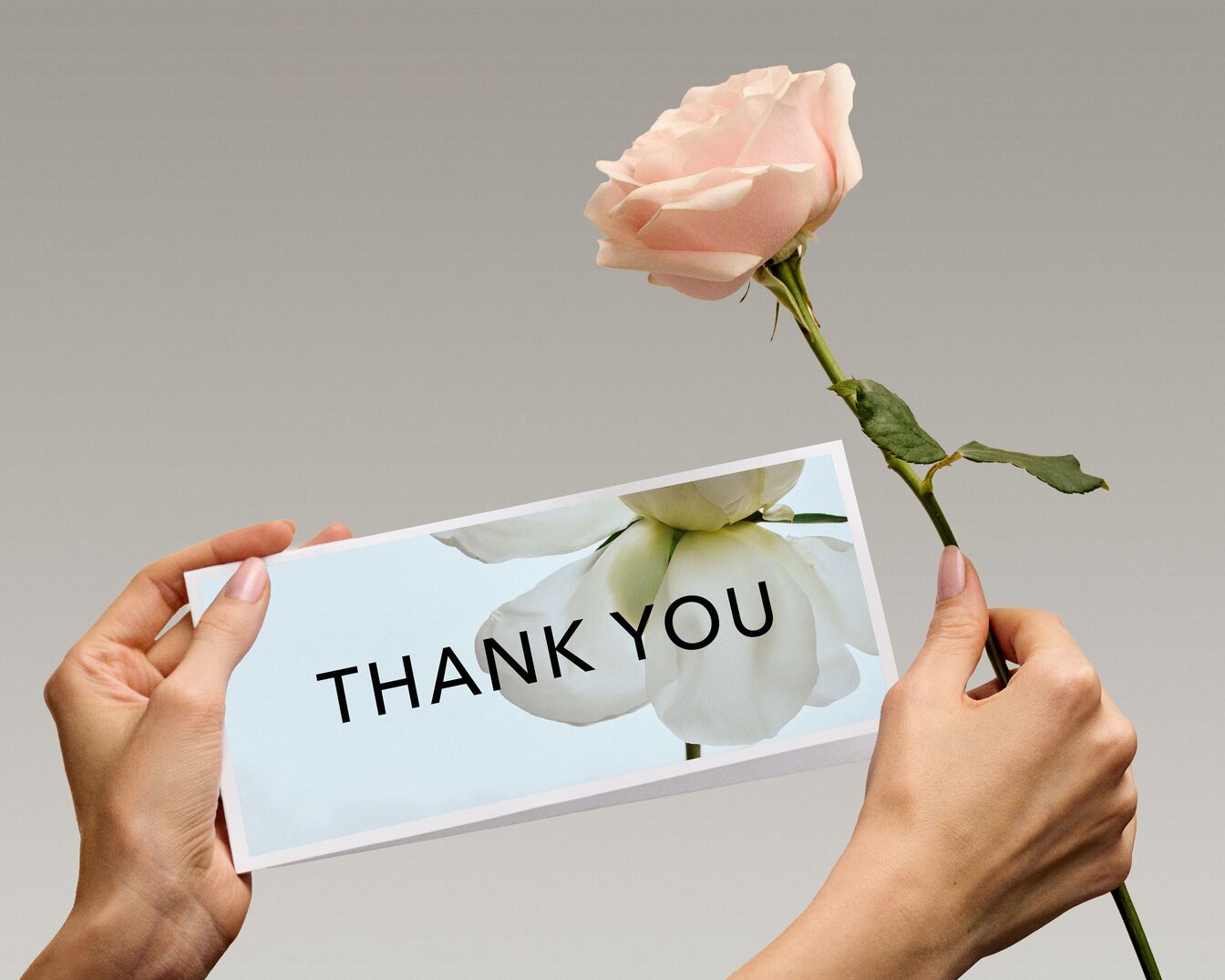 Eine Person hält eine Karte mit der Aufschrift "THANK YOU" und eine einzelne rosa Rose vor einem neutralen Hintergrund.