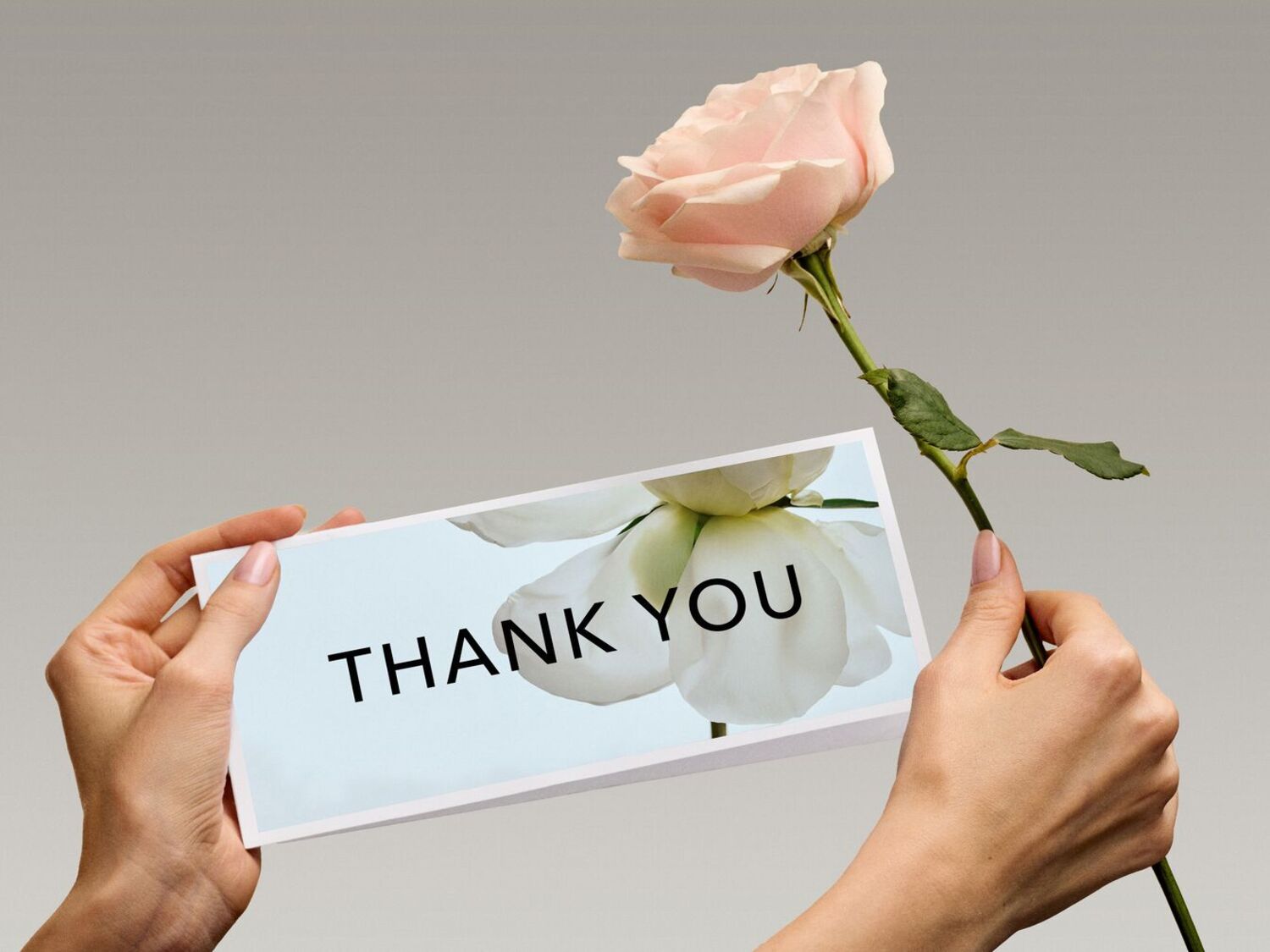 Une main tient une carte de remerciement ornée d'une rose pêche délicate, exprimant gratitude et appréciation.