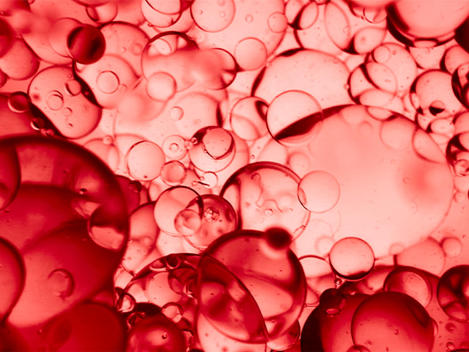 Primo piano di bolle rosse traslucide che fluttuano, creando un motivo astratto e dinamico.