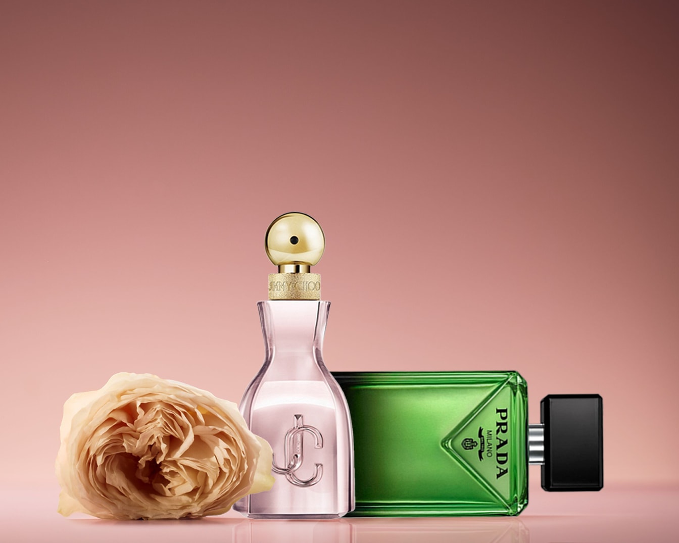 Šalia kreminės rožės guli Jimmy Choo ir Prada kvepalų buteliukai, kurių kiekvienas pasižymi unikaliu dizainu ir spalva.