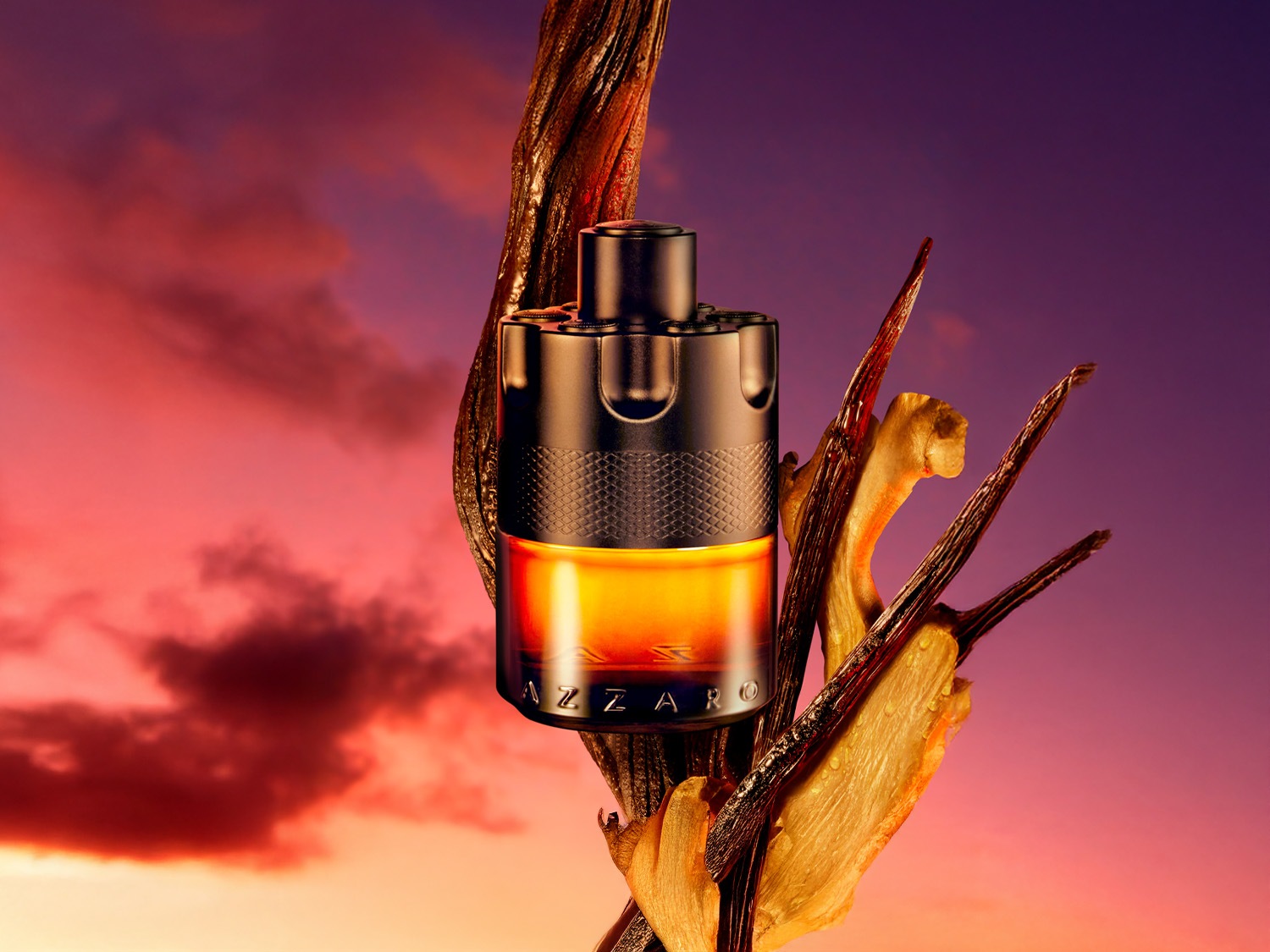 Černý flakon parfému Azzaro Wanted je obklopený větvičkami a vanilkou na pozadí západu slunce, což evokuje teplou a smyslnou vůni.
