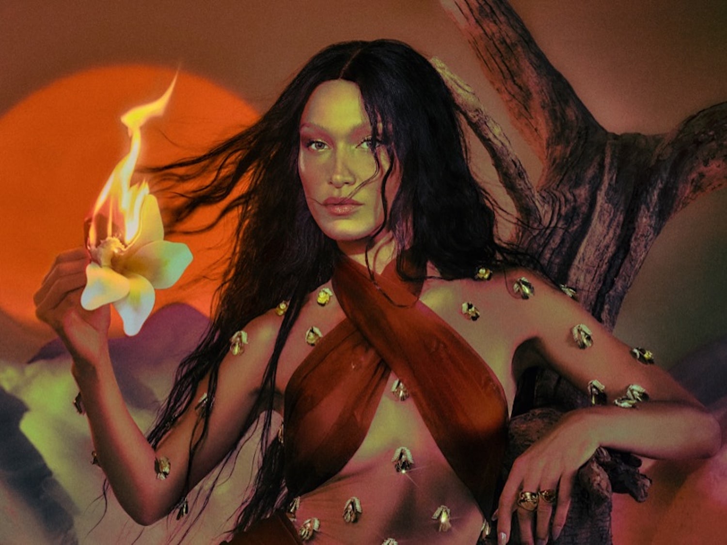 Nuotraukoje pavaizduota moteris ilgais tamsiais plaukais, laikanti degančią gėlę, vilkinti raudoną suknelę su auksiniais papuošalais, fone matomas oranžinis saulėlydis ir medžio šaka.