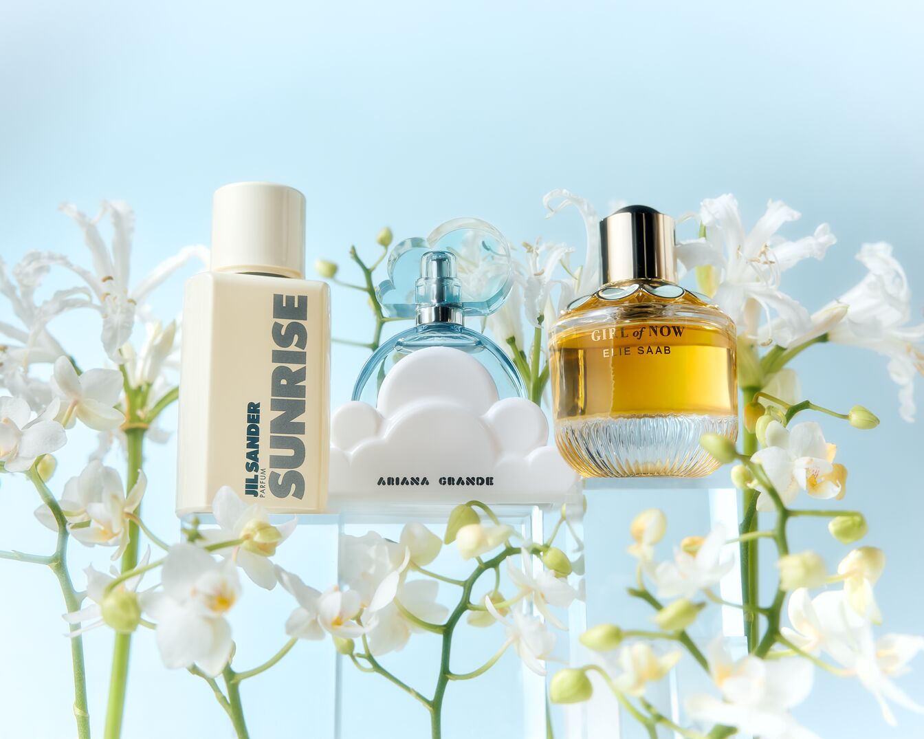 Entdecke Jil Sander Sunrise, Ariana Grande und Elie Saab Girl of Now Parfums, eingebettet in zarte weiße Blüten.