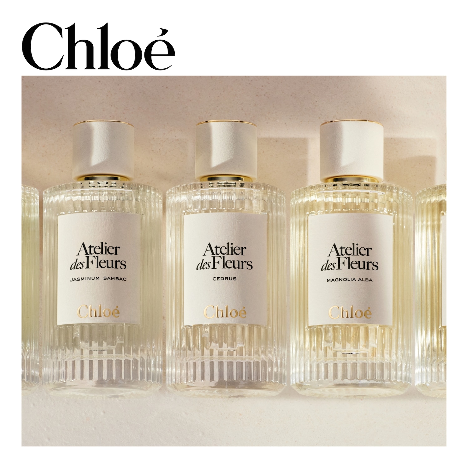 Chloé Atelier des Fleurs Cedrus Eau de parfum ➽ Acheter en ligne