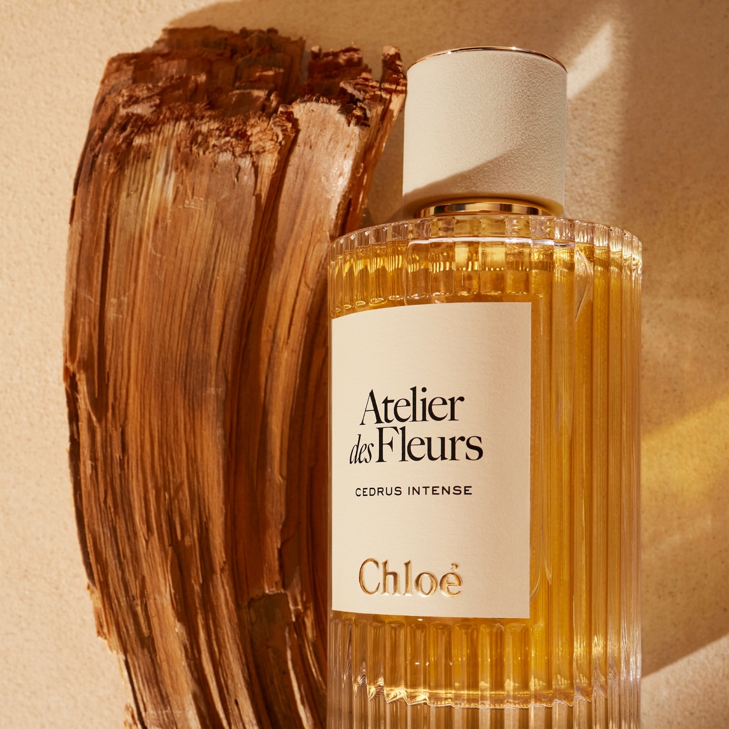 Chloé Atelier des Fleurs Cedrus Intense Eau de parfum ✔️ online