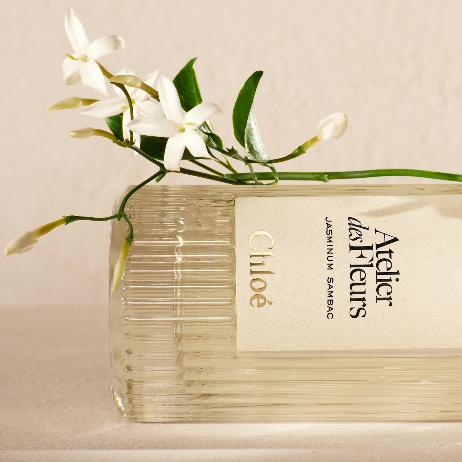 Chloé Atelier des Fleurs Jasminum Sambac Eau de parfum ✔️ online