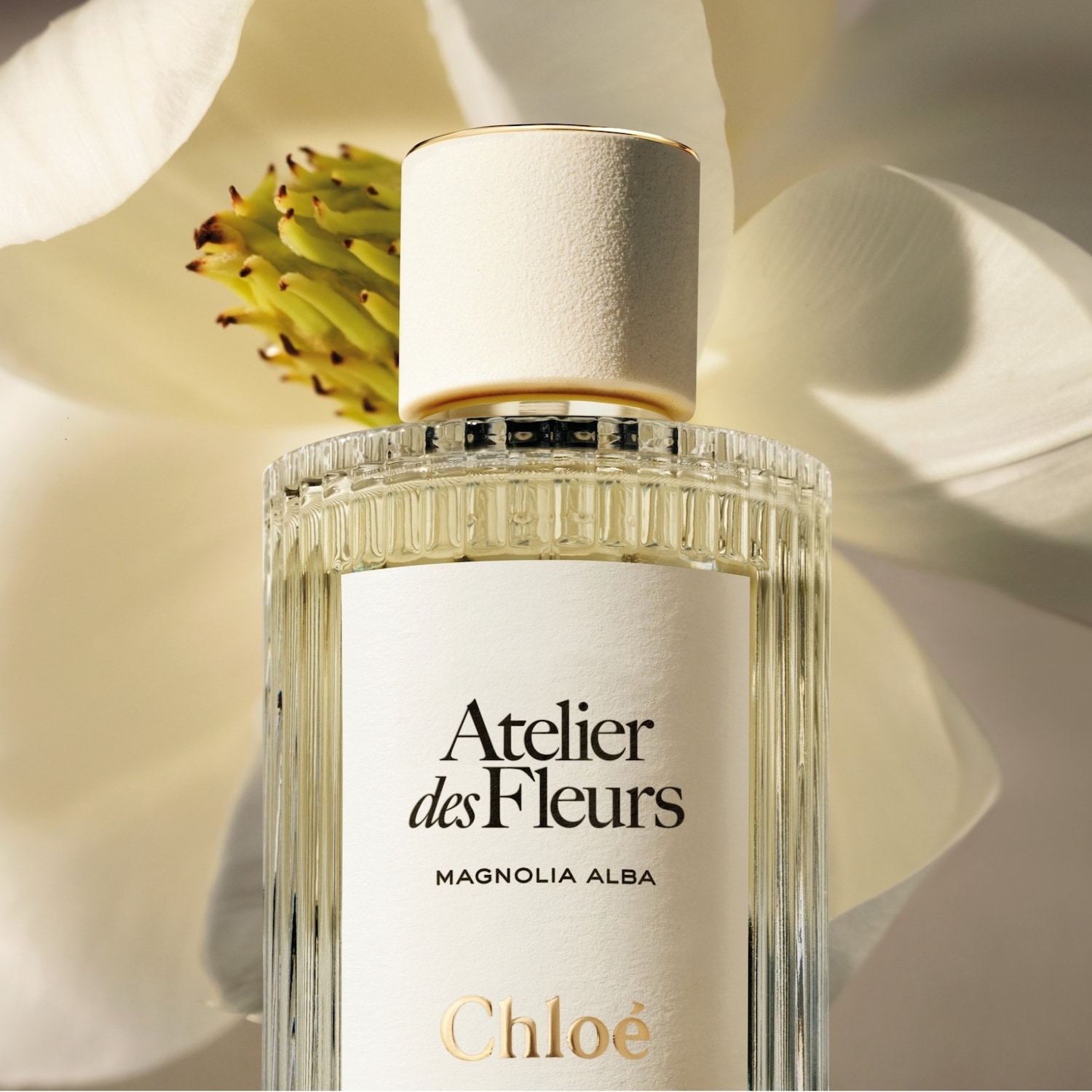 Chloé Atelier des Fleurs Magnolia Alba Eau de parfum ✔️ online