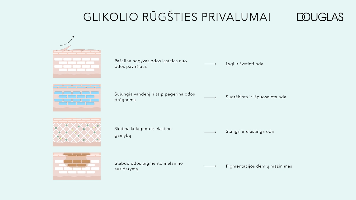 Grafinis paaiškinimas apie glikolio rūgšties naudą odai, įskaitant negyvų ląstelių pašalinimą, drėkinimą, kolageno gamybą ir melanino mažinimą.