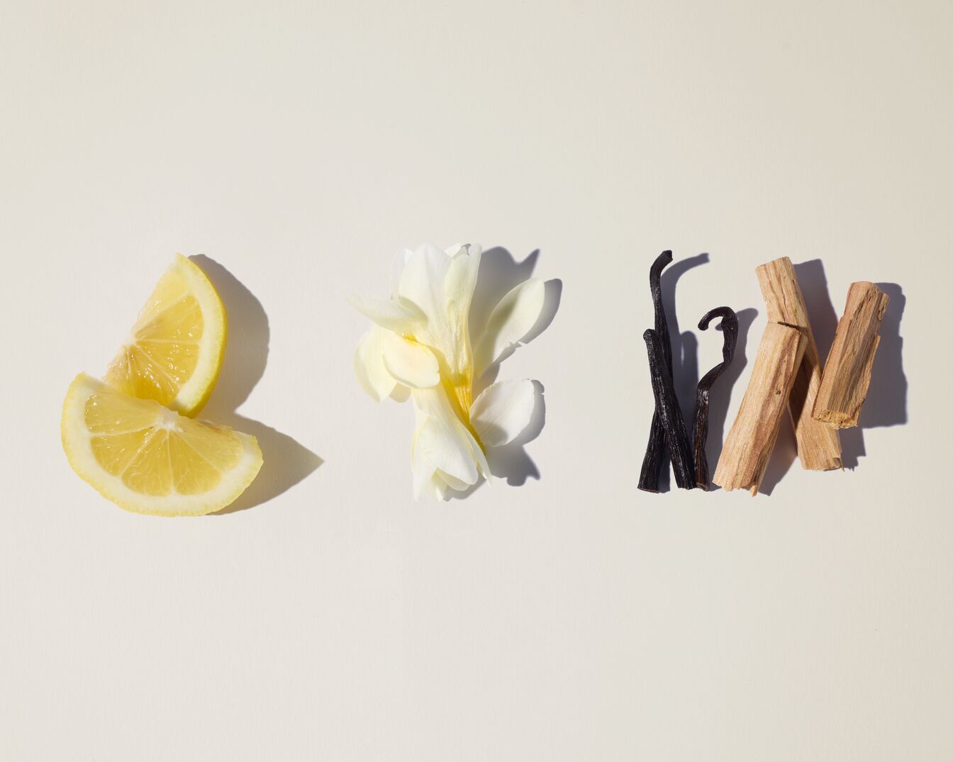 Zitronenscheiben, eine weiße Blüte, Vanilleschoten und Holzstücke liegen auf einem hellen Untergrund.