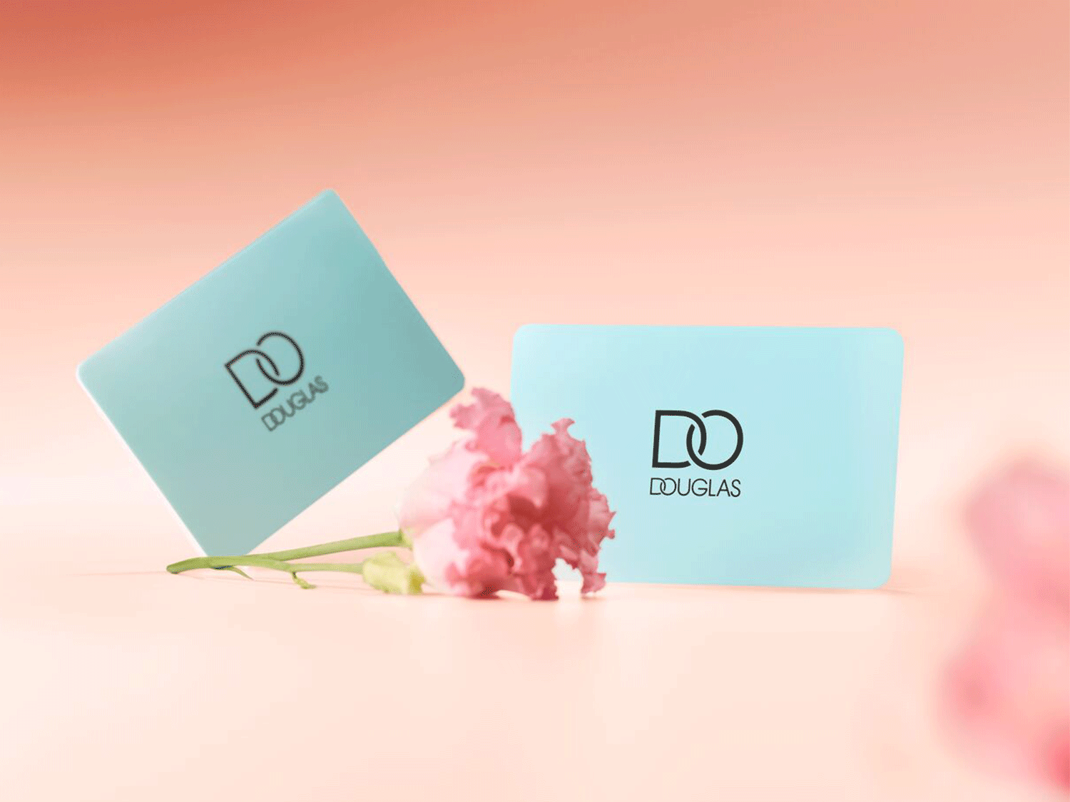 Zwei hellblaue Douglas-Geschenkkarten liegen neben einer rosa Nelke auf einem hellrosa Hintergrund.