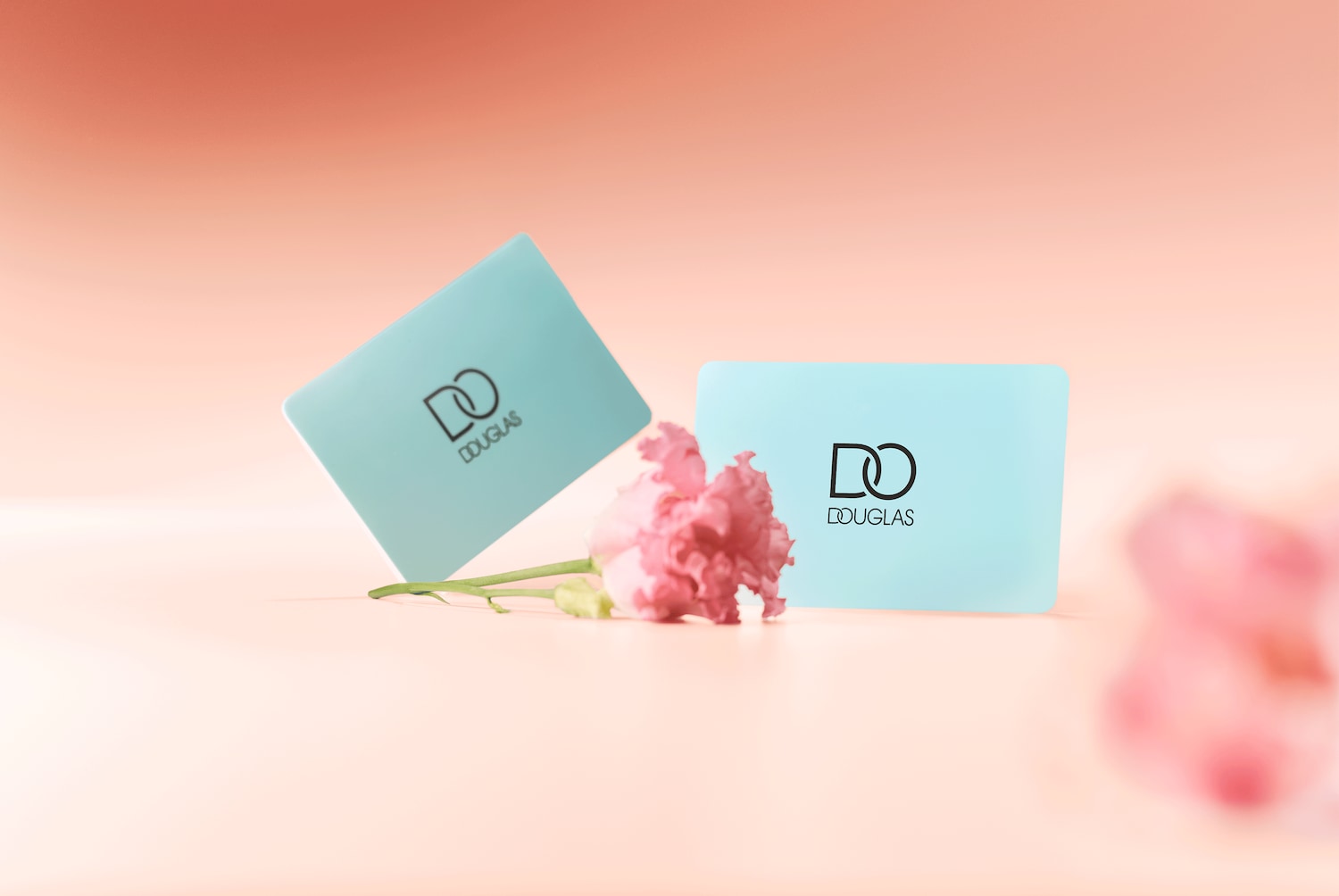 Švelnus rožinis fonas su dviem melsvomis Douglas dovanų kortelėmis ir žiedu, suteikiančiu elegancijos.