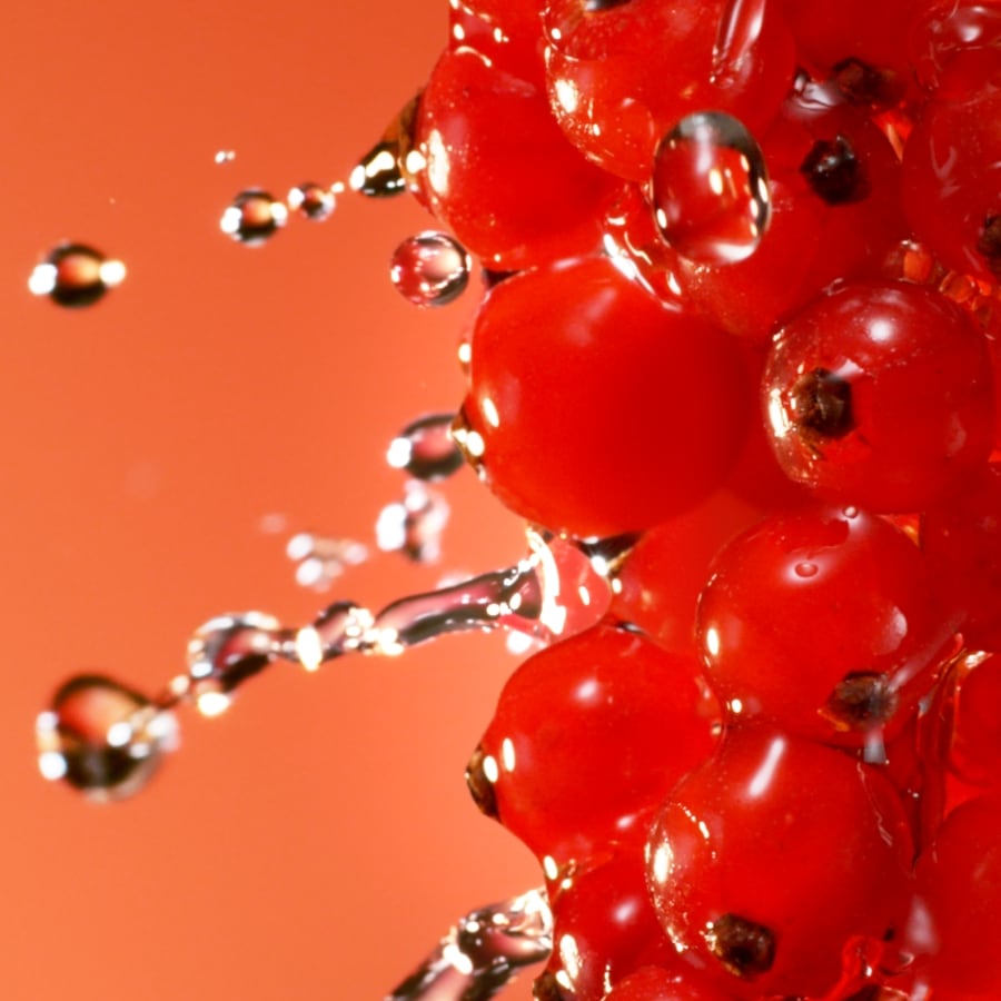 Nahaufnahme von roten Johannisbeeren mit Wassertropfen auf einem orangefarbenen Hintergrund, die Frische und Lebendigkeit vermitteln.