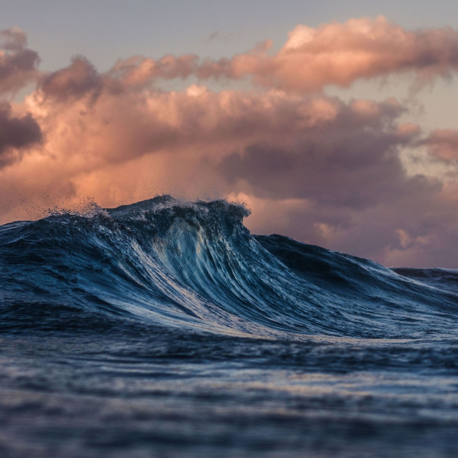 L'immagine mostra un'onda oceanica blu scuro che si infrange sotto un cielo nuvoloso dai toni rosa e viola, creando un contrasto suggestivo tra la forza del mare e la delicatezza del cielo.